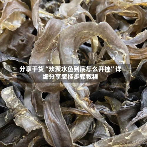分享干货“欢聚水鱼到底怎么开挂”详细分享装挂步骤教程-第2张图片