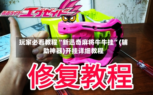 玩家必看教程“新迅奇麻将牛牛挂”(辅助神器)开挂详细教程-第3张图片