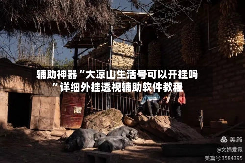 辅助神器“大凉山生活号可以开挂吗”详细外挂透视辅助软件教程-第2张图片