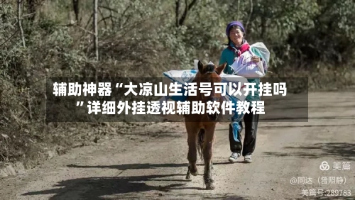 辅助神器“大凉山生活号可以开挂吗	”详细外挂透视辅助软件教程-第3张图片