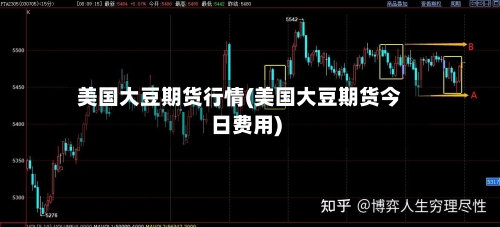 美国大豆期货行情(美国大豆期货今日费用)-第2张图片