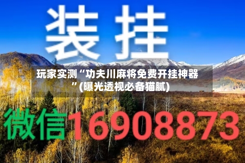 玩家实测“功夫川麻将免费开挂神器”(曝光透视必备猫腻)-第2张图片
