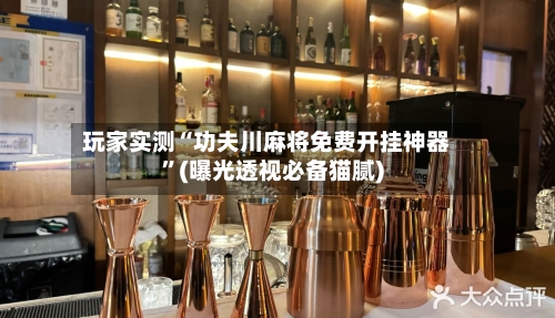 玩家实测“功夫川麻将免费开挂神器”(曝光透视必备猫腻)