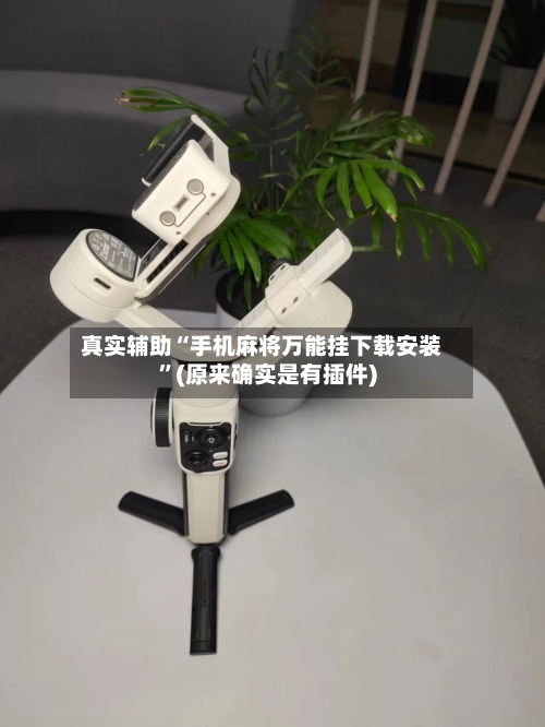 真实辅助“手机麻将万能挂下载安装”(原来确实是有插件)-第2张图片