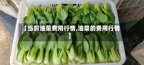 【当前油菜费用行情,油菜的费用行情】-第2张图片