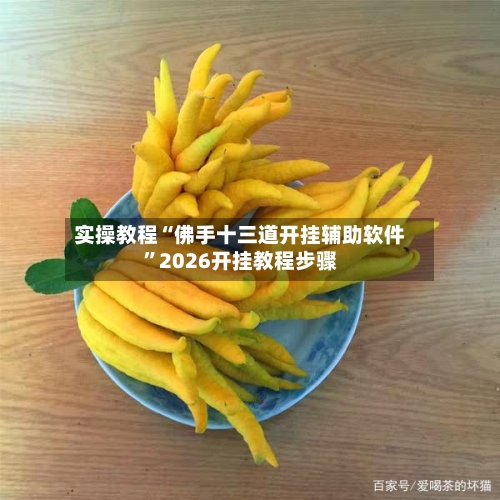 实操教程“佛手十三道开挂辅助软件”2026开挂教程步骤