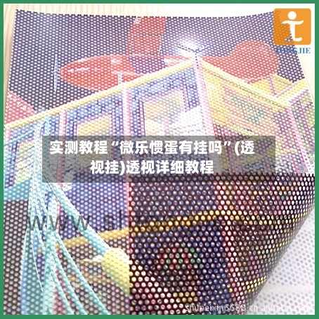实测教程“微乐惯蛋有挂吗”(透视挂)透视详细教程-第3张图片