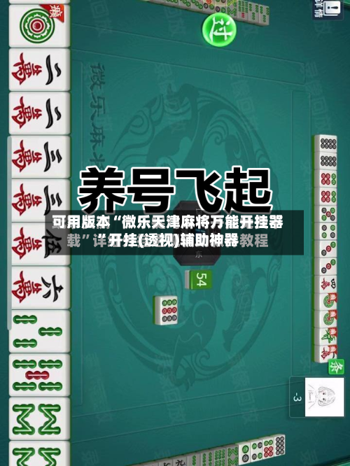 可用版本“微乐天津麻将万能开挂器	”开挂(透视)辅助神器-第3张图片