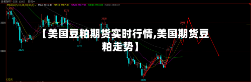 【美国豆粕期货实时行情,美国期货豆粕走势】-第2张图片