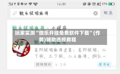 玩家实测“微乐开挂免费软件下载”(作弊)辅助透视教程-第2张图片