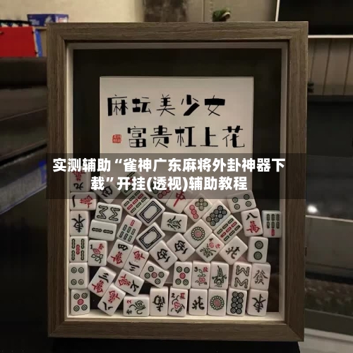 实测辅助“雀神广东麻将外卦神器下载”开挂(透视)辅助教程-第3张图片