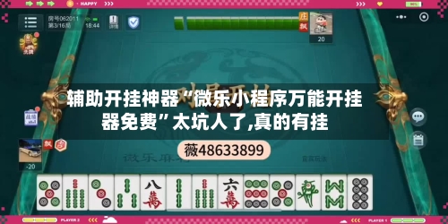 辅助开挂神器“微乐小程序万能开挂器免费”太坑人了,真的有挂-第2张图片