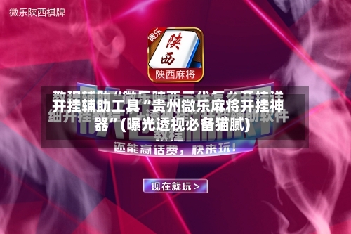 开挂辅助工具“贵州微乐麻将开挂神器”(曝光透视必备猫腻)-第2张图片