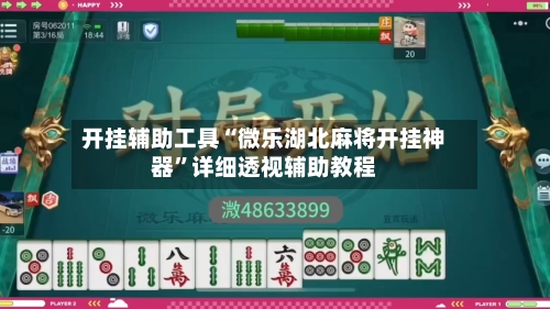 开挂辅助工具“微乐湖北麻将开挂神器	”详细透视辅助教程-第2张图片