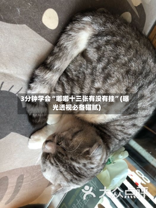 3分钟学会“嘟嘟十三张有没有挂”(曝光透视必备猫腻)-第2张图片