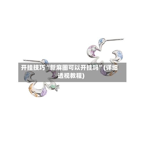 开挂技巧“新麻圈可以开挂吗”(详细透视教程)-第2张图片
