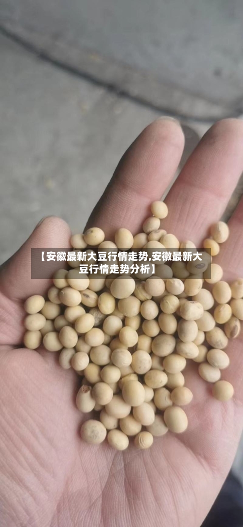 【安徽最新大豆行情走势,安徽最新大豆行情走势分析】
