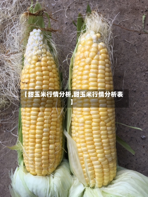 【甜玉米行情分析,甜玉米行情分析表】-第3张图片