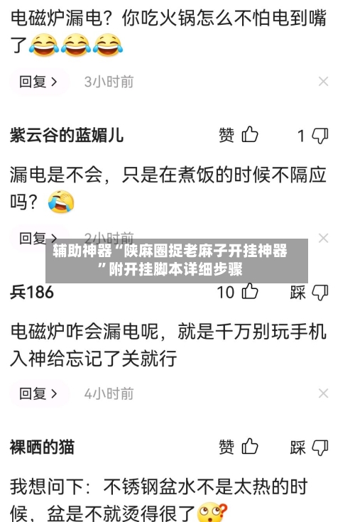 辅助神器“陕麻圈捉老麻子开挂神器”附开挂脚本详细步骤-第2张图片
