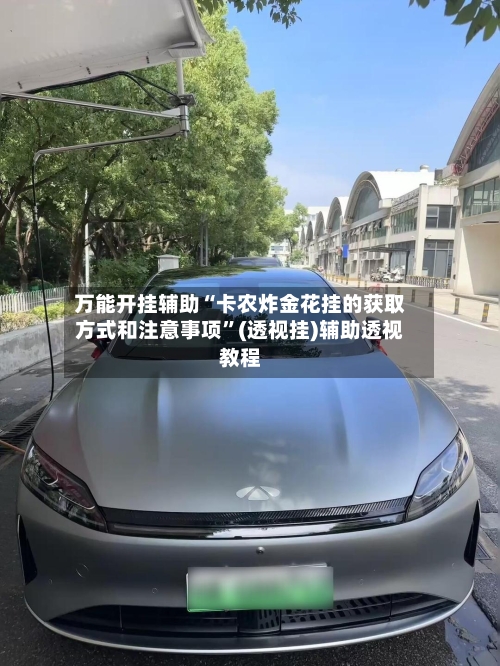 万能开挂辅助“卡农炸金花挂的获取方式和注意事项	”(透视挂)辅助透视教程-第3张图片