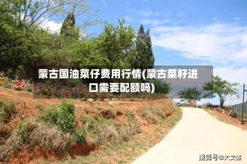 蒙古国油菜仔费用行情(蒙古菜籽进口需要配额吗)