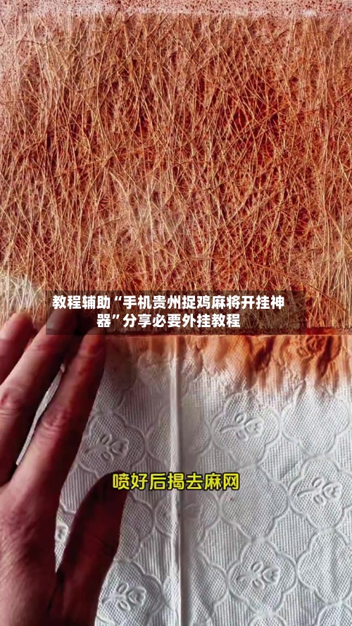 教程辅助“手机贵州捉鸡麻将开挂神器	”分享必要外挂教程-第2张图片