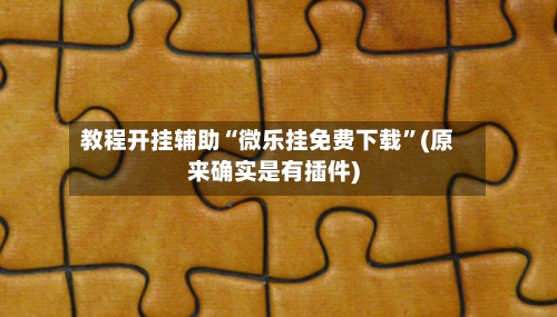 教程开挂辅助“微乐挂免费下载”(原来确实是有插件)