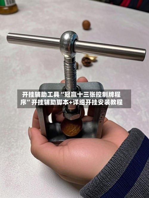 开挂辅助工具“冠赢十三张控制牌程序”开挂辅助脚本+详细开挂安装教程