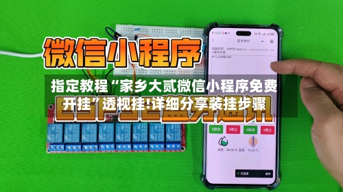 指定教程“家乡大贰微信小程序免费开挂”透视挂!详细分享装挂步骤-第3张图片