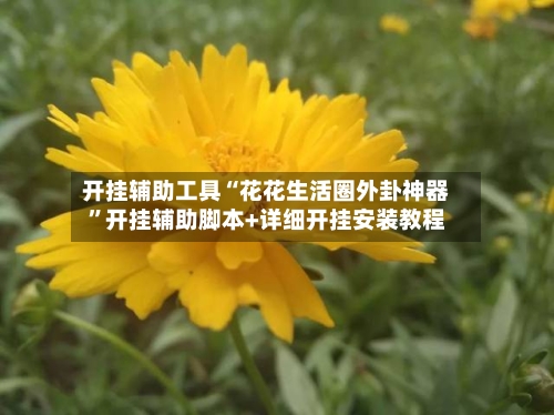 开挂辅助工具“花花生活圈外卦神器”开挂辅助脚本+详细开挂安装教程