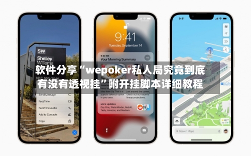 软件分享“wepoker私人局究竟到底有没有透视挂”附开挂脚本详细教程-第3张图片
