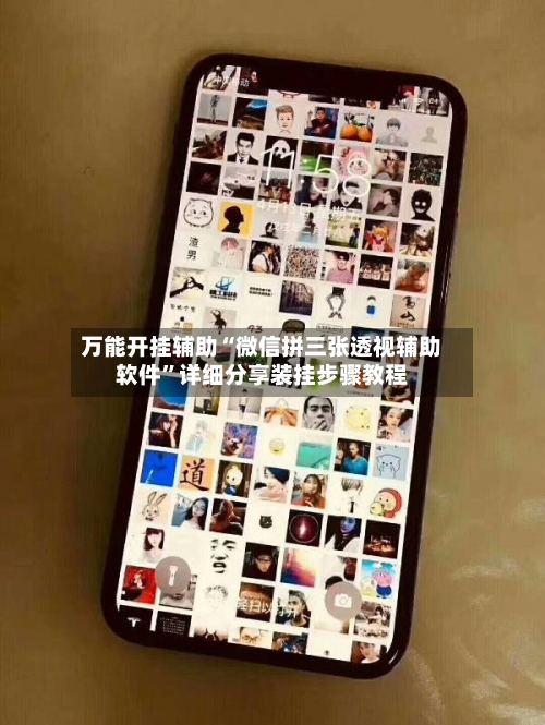 万能开挂辅助“微信拼三张透视辅助软件	”详细分享装挂步骤教程-第2张图片