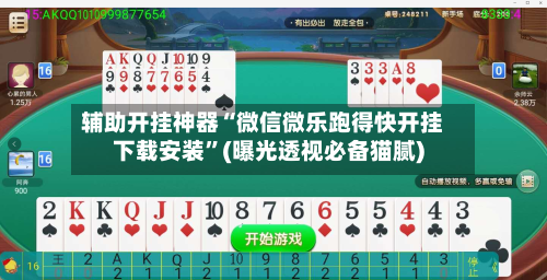辅助开挂神器“微信微乐跑得快开挂下载安装”(曝光透视必备猫腻)-第3张图片