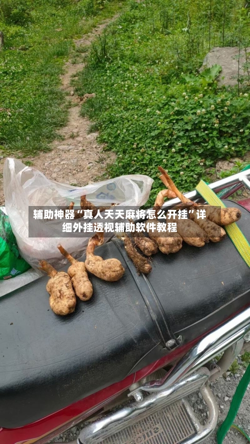 辅助神器“真人天天麻将怎么开挂”详细外挂透视辅助软件教程-第3张图片