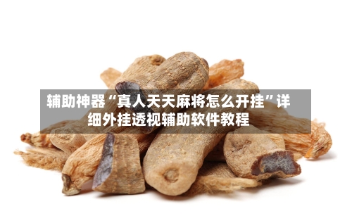 辅助神器“真人天天麻将怎么开挂	”详细外挂透视辅助软件教程-第2张图片
