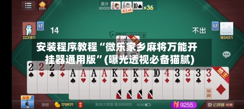安装程序教程“微乐家乡麻将万能开挂器通用版”(曝光透视必备猫腻)-第3张图片