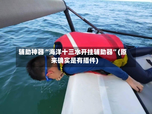 辅助神器“海洋十三水开挂辅助器”(原来确实是有插件)