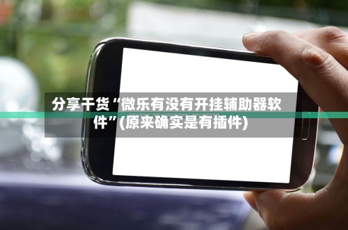 分享干货“微乐有没有开挂辅助器软件”(原来确实是有插件)-第3张图片