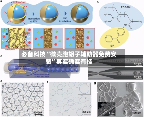 必备科技“微壳跑胡子辅助器免费安装”其实确实有挂-第3张图片