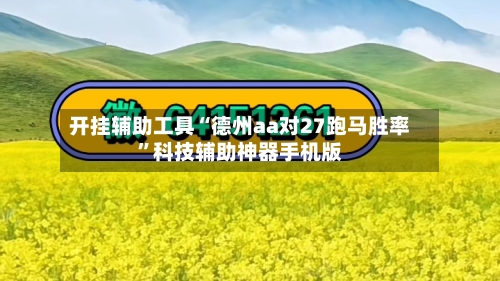 开挂辅助工具“德州aa对27跑马胜率	”科技辅助神器手机版-第3张图片