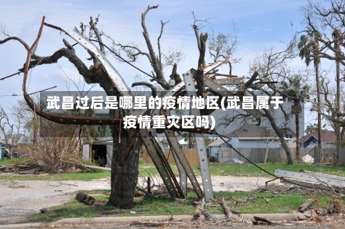 武昌过后是哪里的疫情地区(武昌属于疫情重灾区吗)