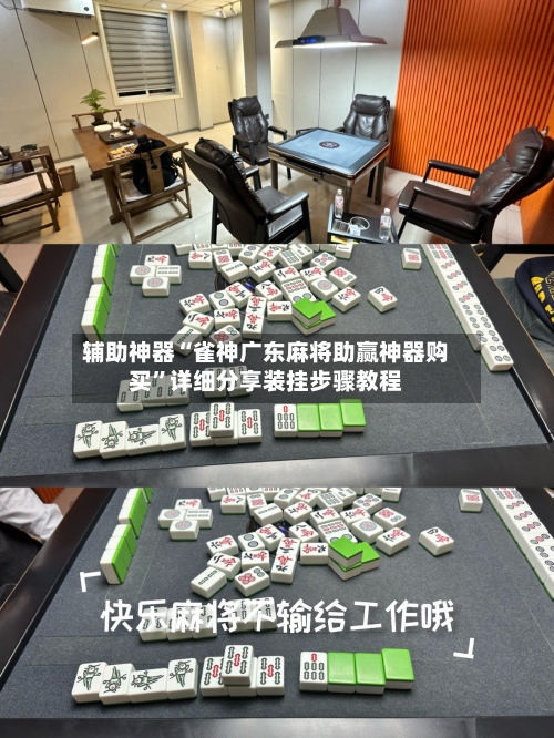 辅助神器“雀神广东麻将助赢神器购买”详细分享装挂步骤教程-第2张图片