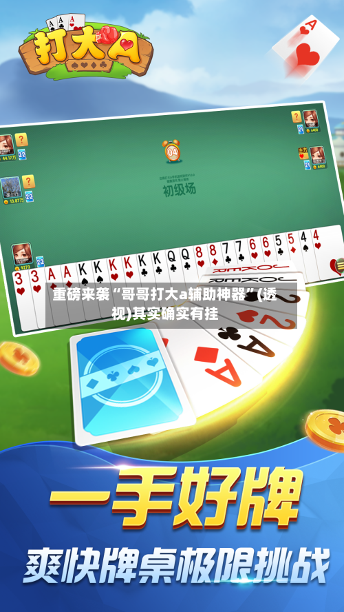 重磅来袭“哥哥打大a辅助神器”(透视)其实确实有挂