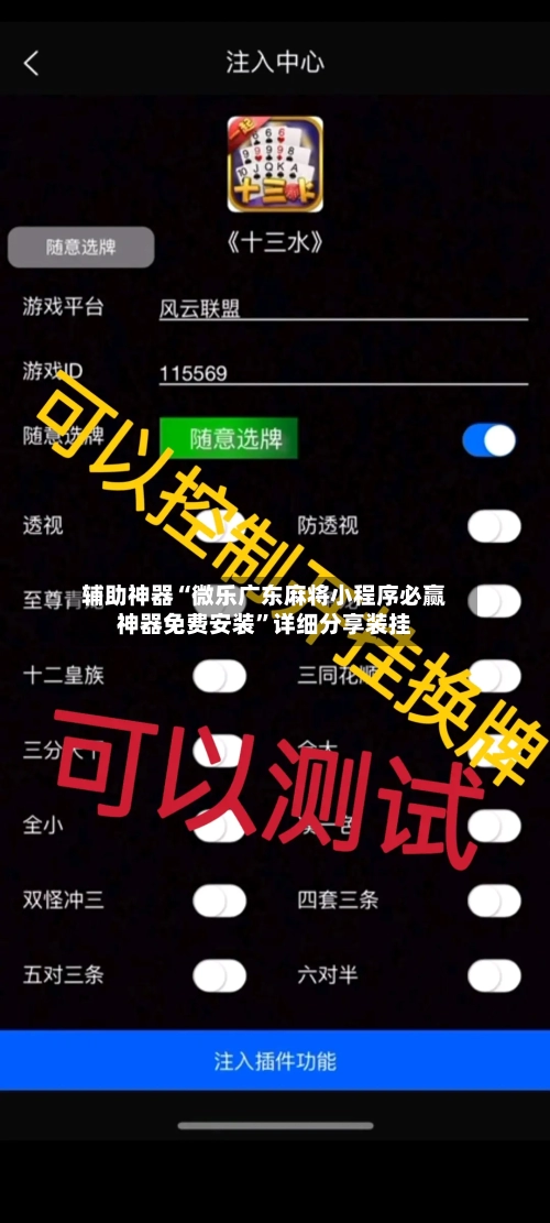 辅助神器“微乐广东麻将小程序必赢神器免费安装”详细分享装挂