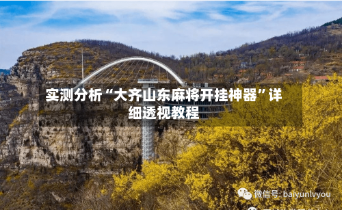实测分析“大齐山东麻将开挂神器”详细透视教程-第2张图片
