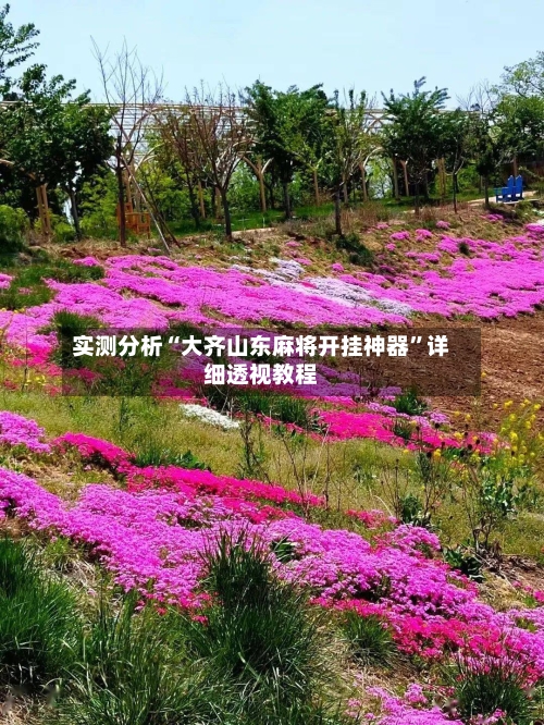 实测分析“大齐山东麻将开挂神器”详细透视教程