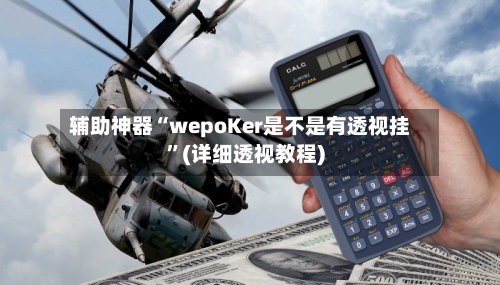 辅助神器“wepoKer是不是有透视挂	”(详细透视教程)-第2张图片
