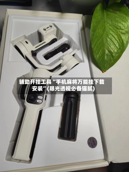 辅助开挂工具“手机麻将万能挂下载安装”(曝光透视必备猫腻)-第2张图片