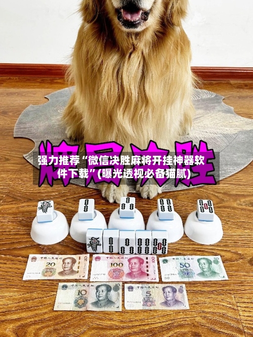 强力推荐“微信决胜麻将开挂神器软件下载	”(曝光透视必备猫腻)-第2张图片