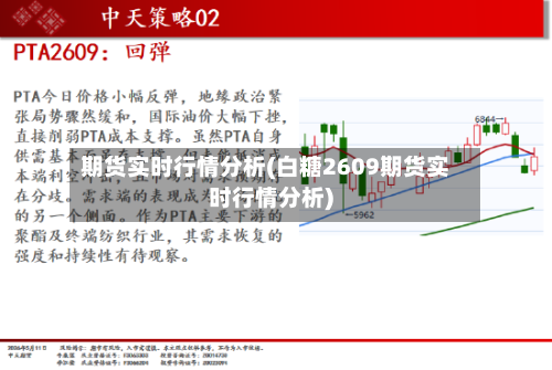 期货实时行情分析(白糖2609期货实时行情分析)